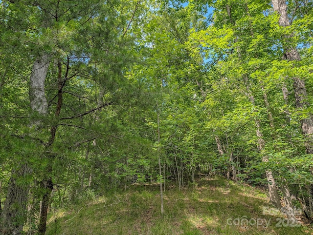 TBD Parkway Rd N Unit 3, Mill Spring, NC 28756