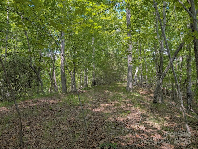 TBD Parkway Rd N Unit 3, Mill Spring, NC 28756