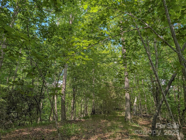 TBD Parkway Rd N Unit 3, Mill Spring, NC 28756