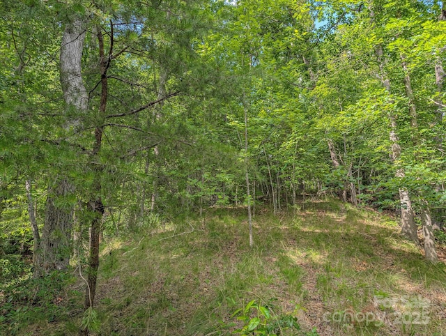 TBD Parkway Rd N Unit 3, Mill Spring, NC 28756