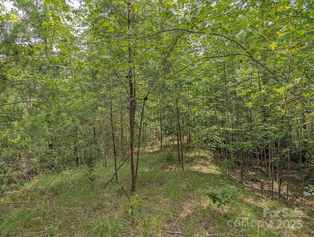 TBD Parkway Rd N Unit 3, Mill Spring, NC 28756