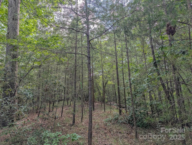TBD Parkway Rd N Unit 3, Mill Spring, NC 28756