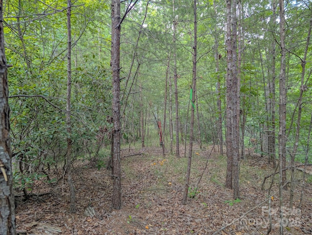 TBD Parkway Rd N Unit 3, Mill Spring, NC 28756