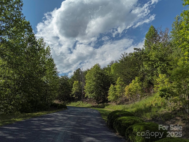 TBD Parkway Rd N Unit 3, Mill Spring, NC 28756