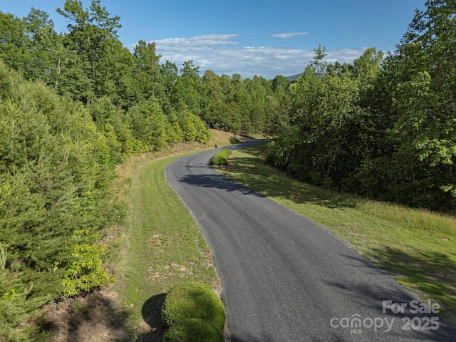 TBD Parkway Rd N Unit 3, Mill Spring, NC 28756