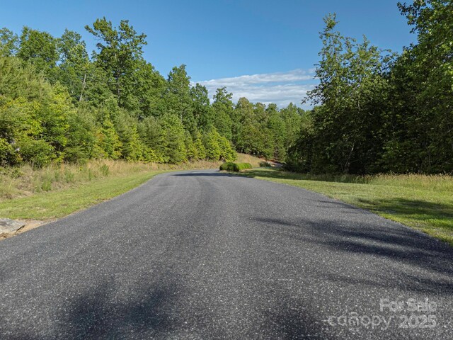 TBD Parkway Rd N Unit 3, Mill Spring, NC 28756