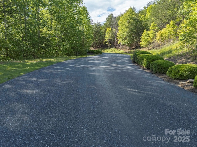 TBD Parkway Rd N Unit 3, Mill Spring, NC 28756