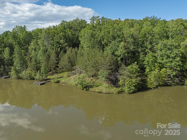TBD Parkway Rd N Unit 3, Mill Spring, NC 28756