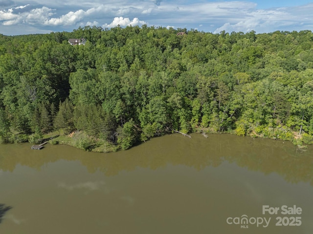 TBD Parkway Rd N Unit 3, Mill Spring, NC 28756