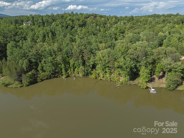 TBD Parkway Rd N Unit 3, Mill Spring, NC 28756