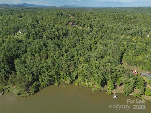 TBD Parkway Rd N Unit 3, Mill Spring, NC 28756