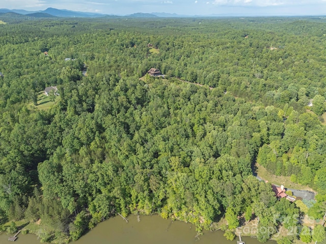 TBD Parkway Rd N Unit 3, Mill Spring, NC 28756