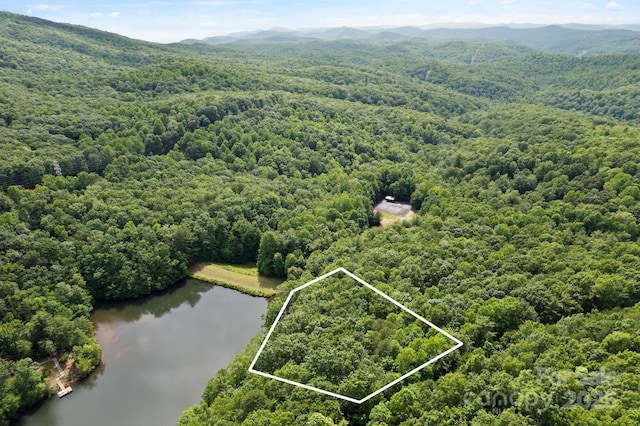 430 N Lakeview Dr, Saluda, NC 28773