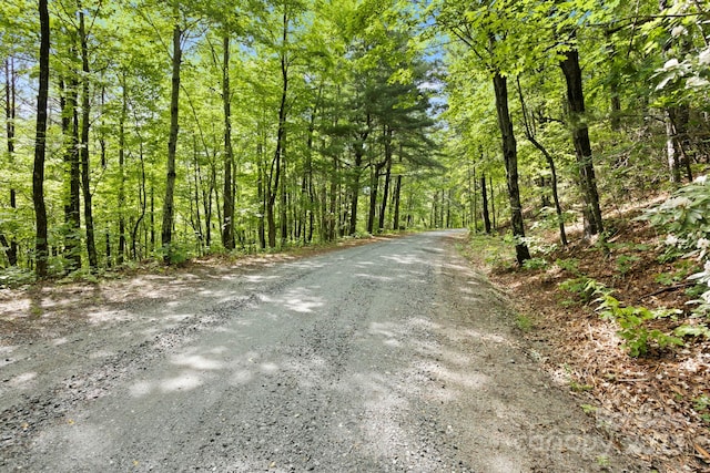 430 N Lakeview Dr, Saluda, NC 28773