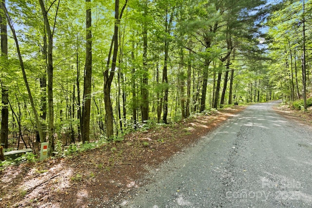 430 N Lakeview Dr, Saluda, NC 28773