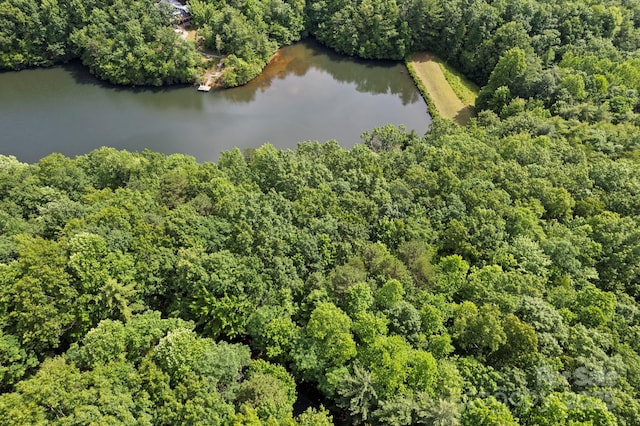 430 N Lakeview Dr, Saluda, NC 28773