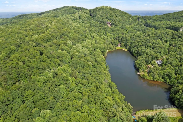 430 N Lakeview Dr, Saluda, NC 28773