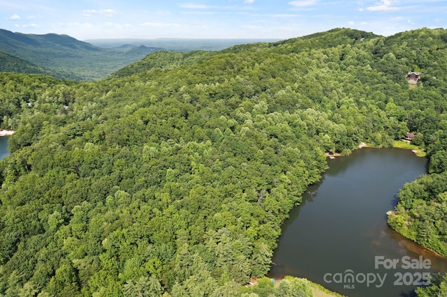 430 N Lakeview Dr, Saluda, NC 28773