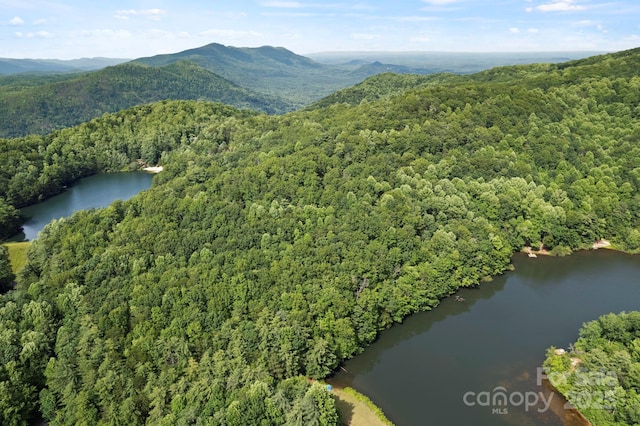 430 N Lakeview Dr, Saluda, NC 28773