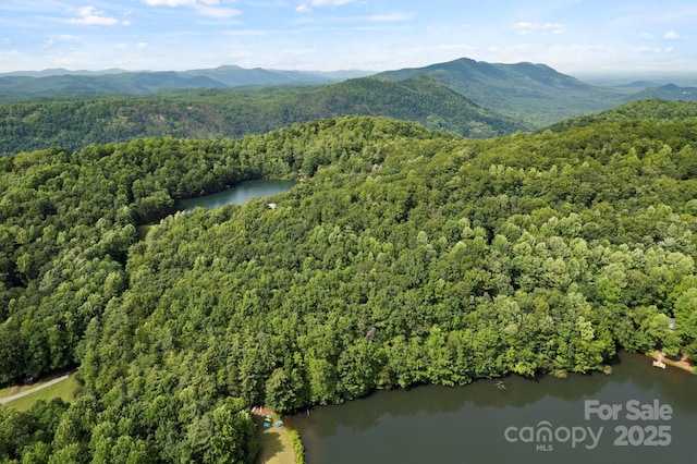 430 N Lakeview Dr, Saluda, NC 28773