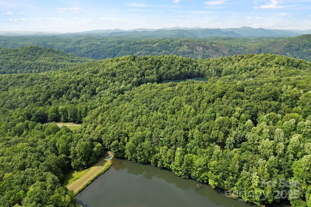 430 N Lakeview Dr, Saluda, NC 28773