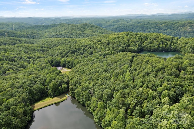 430 N Lakeview Dr, Saluda, NC 28773