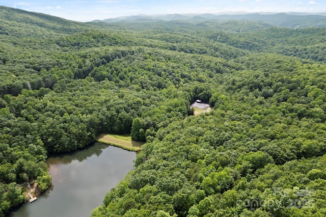 430 N Lakeview Dr, Saluda, NC 28773