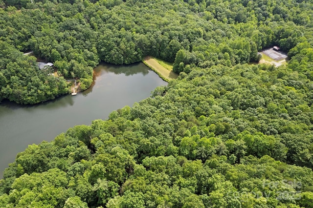 430 N Lakeview Dr, Saluda, NC 28773