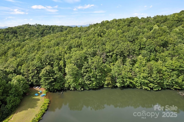 430 N Lakeview Dr, Saluda, NC 28773
