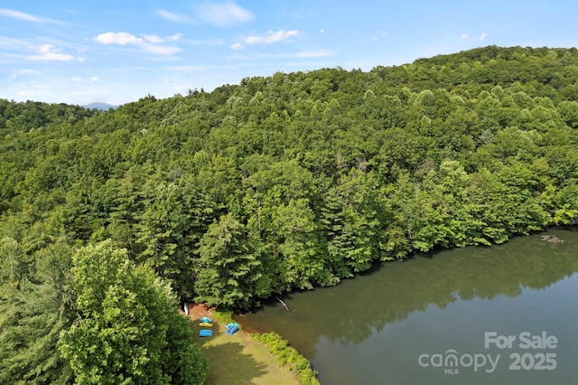 430 N Lakeview Dr, Saluda, NC 28773