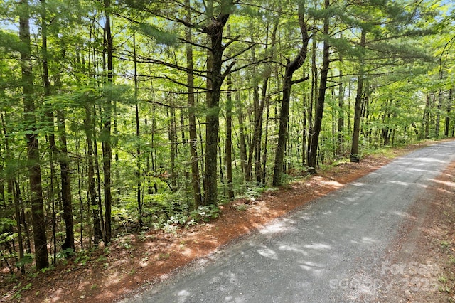 430 N Lakeview Dr, Saluda, NC 28773