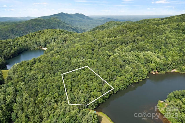 430 N Lakeview Dr, Saluda, NC 28773