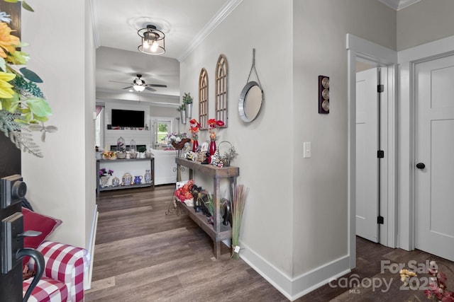 203 Poplins Grove Church Rd, Albemarle, NC 28001 - hall featuring ornamental molding and wood finished floors