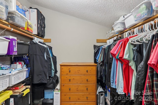 84 Hawk Nest Rd, Maggie Valley, NC 28751 - view of walk in closet