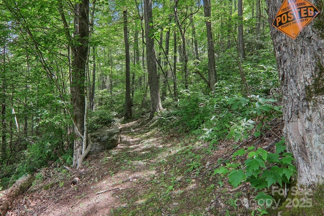 84 Hawk Nest Rd, Maggie Valley, NC 28751 - view of tree filled area