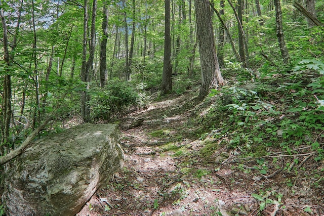 84 Hawk Nest Rd, Maggie Valley, NC 28751 - view of wooded area