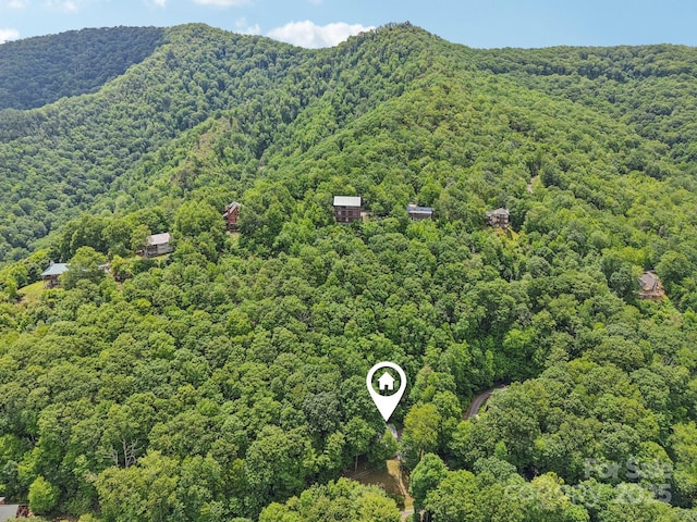 84 Hawk Nest Rd, Maggie Valley, NC 28751 - bird's eye view of a heavily wooded area