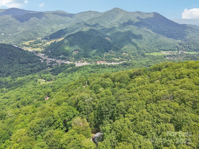 84 Hawk Nest Rd, Maggie Valley, NC 28751 - mountain view with a heavily wooded area