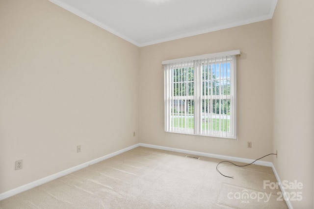 390 Classic Oaks Cir, Hendersonville, NC 28792 - spare room with crown molding and light carpet