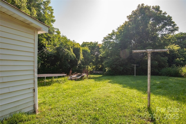 3220 Harmony Hwy, Harmony, NC 28634 - view of green lawn featuring a trampoline