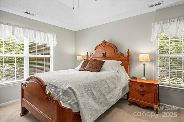 171 Highland Woods Ct, Denver, NC 28037 - carpeted bedroom with multiple windows