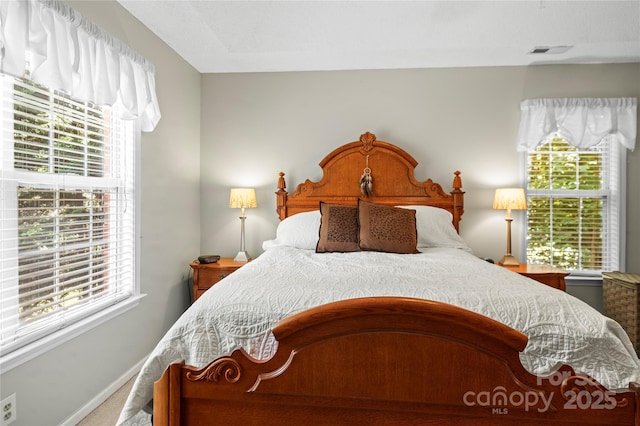 171 Highland Woods Ct, Denver, NC 28037 - carpeted bedroom with multiple windows