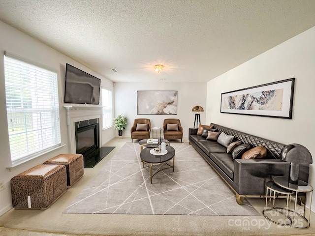 3933 Cameron Creek Dr, Matthews, NC 28105 - living area with carpet, a glass covered fireplace, and a textured ceiling