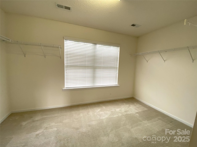 3933 Cameron Creek Dr, Matthews, NC 28105 - spacious closet with carpet