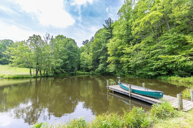 1745 Sugar Camp Rd, Marshall, NC 28753 - dock area with a water view and a wooded view