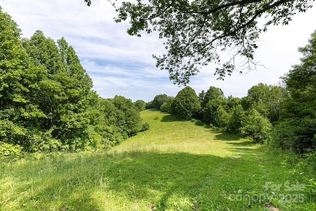 1745 Sugar Camp Rd, Marshall, NC 28753 - view of local wilderness