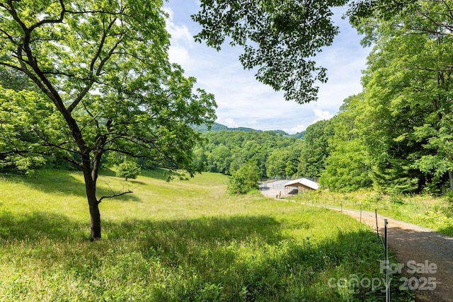 1745 Sugar Camp Rd, Marshall, NC 28753 - view of yard featuring a wooded view