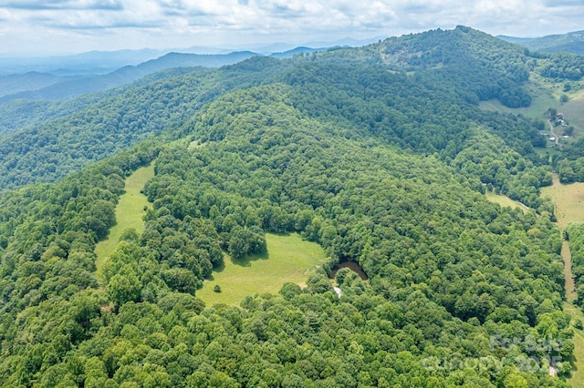 1745 Sugar Camp Rd, Marshall, NC 28753 - bird's eye view of a heavily wooded area