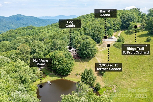 1745 Sugar Camp Rd, Marshall, NC 28753 - photo 41