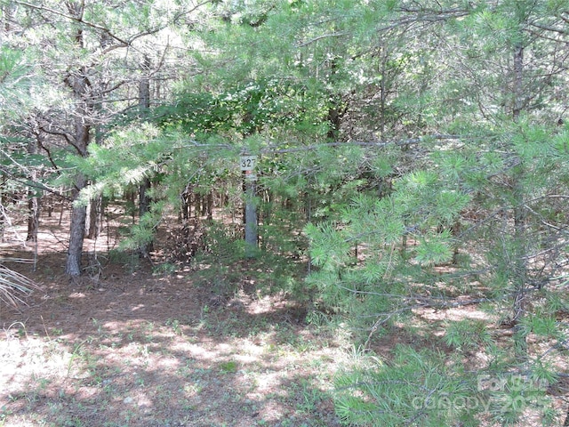 000 N Dakota Dr, Rutherfordton, NC 28139